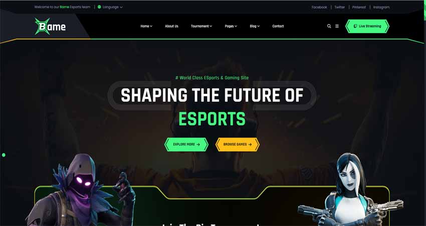 Bam-Sports and Gaming WordPress Themes