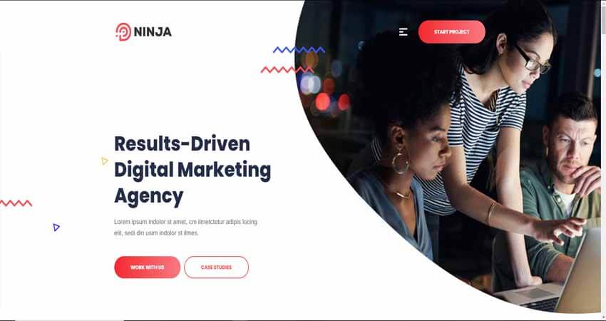 Ninja-SEO & Digital Marketing WordPress Theme