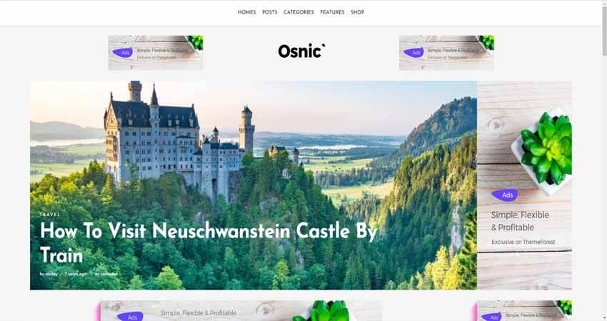 Osnic-Premium AdSense Theme