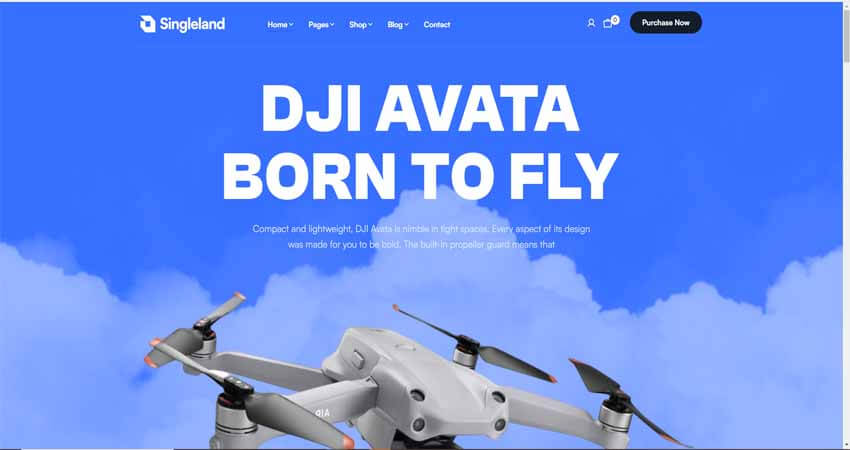 Singleland- Product Landing WordPress Theme