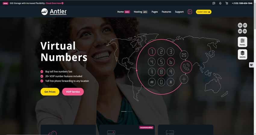 Antler Hosting Provider & WHMCS Template