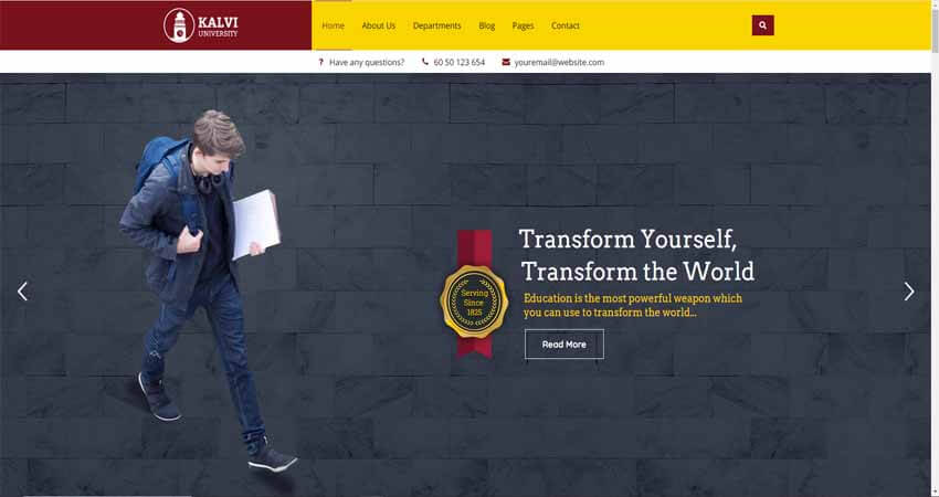 Edufu-Online Courses & Education WordPress Theme (1)