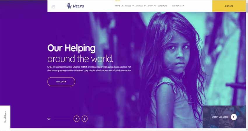 Helpo- Charity & Nonprofit WordPress Theme