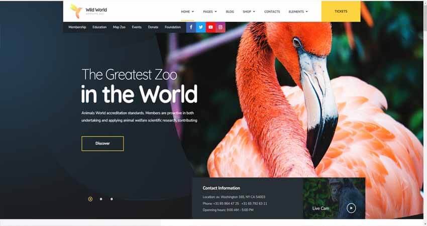 WildWorld- Nonprofit  & Ecology WordPress Theme