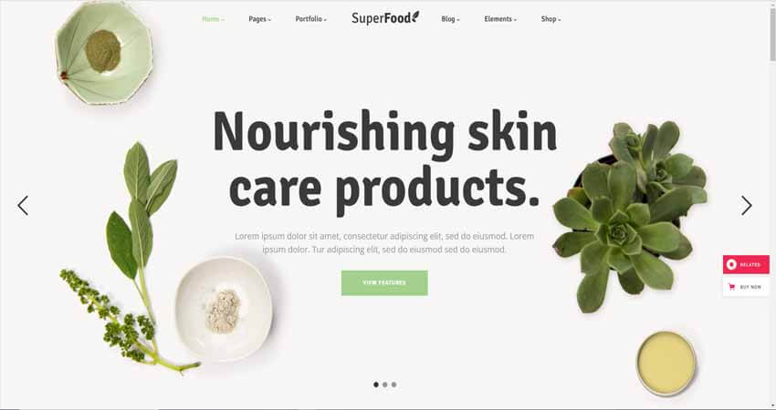 Superfood - Organic Food Products Theme