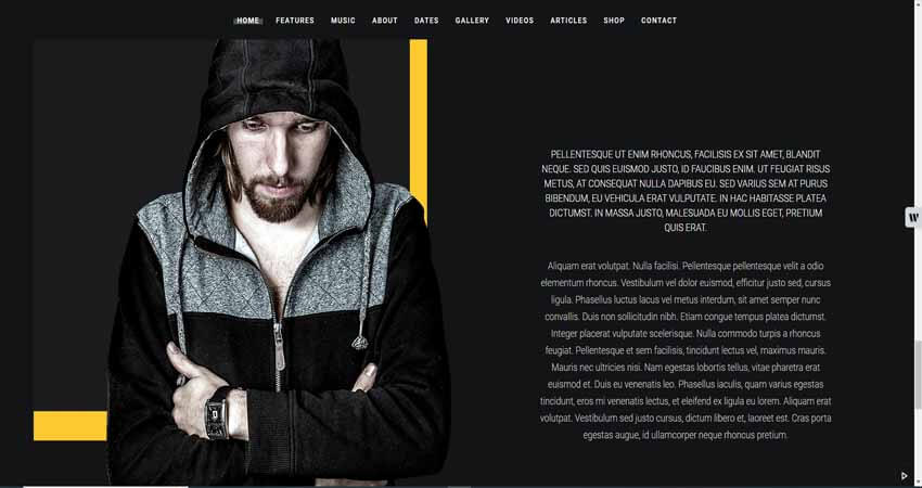 Zona - Music WordPress Theme with Ajax and Continuous Playback