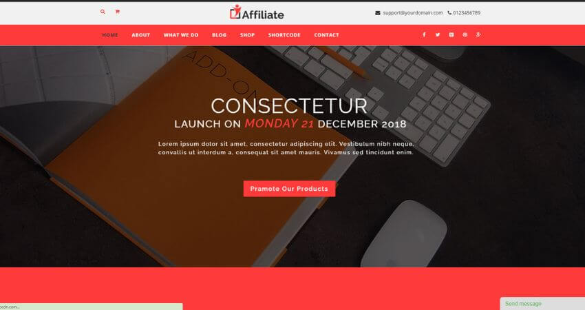 Affiliate Marketing WordPress Theme