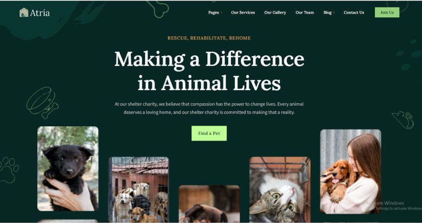 Atria - Animals and  Shelter Charity WordPress Theme