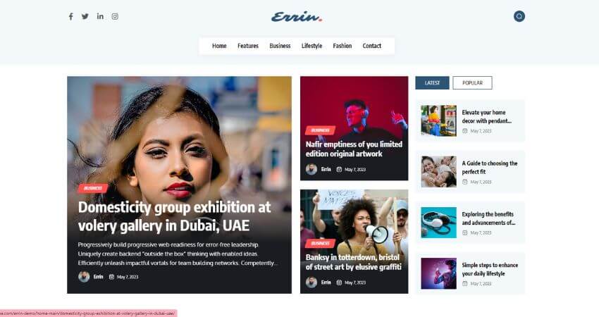 Errin - Personal Blog & Revolutionary WordPress Theme