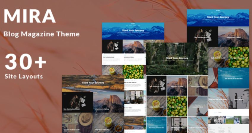 Best Movie WordPress Themes for Your Film Website